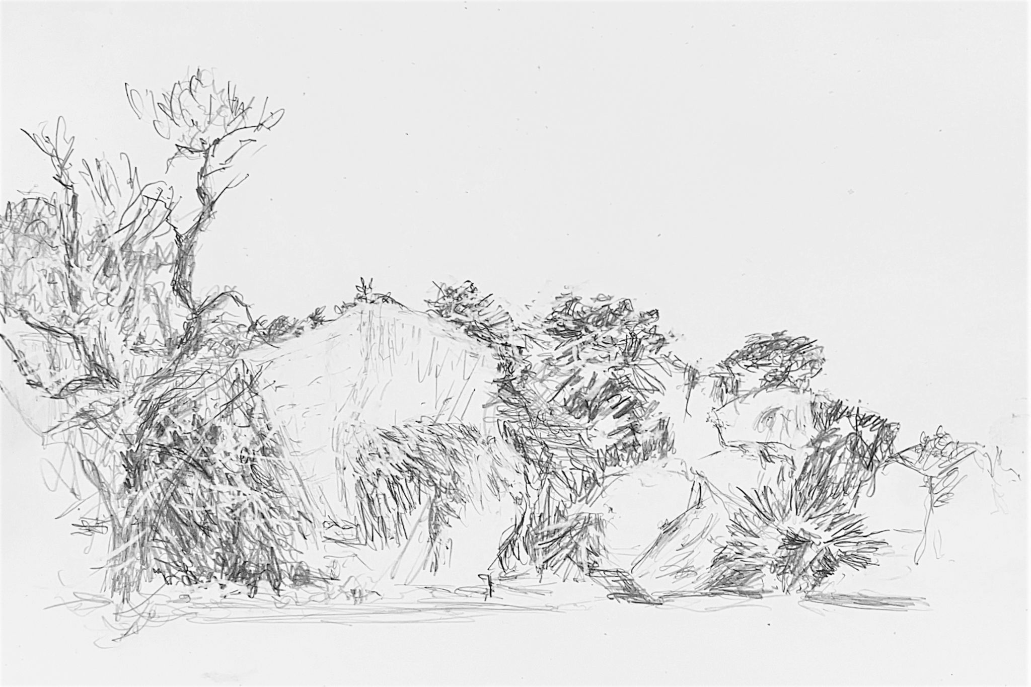 Cave di Cusa - Selinunte - Sicilia